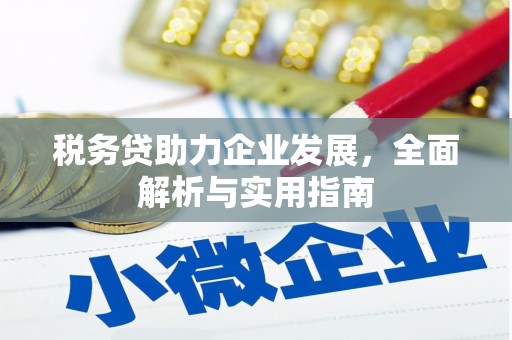 西市税务贷助力企业发展，全面解析与实用指南