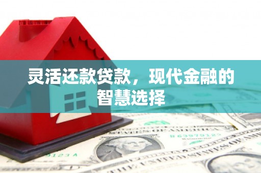 西市灵活还款贷款，现代金融的智慧选择