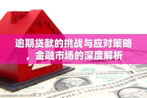 西市逾期贷款的挑战与应对策略，金融市场的深度解析