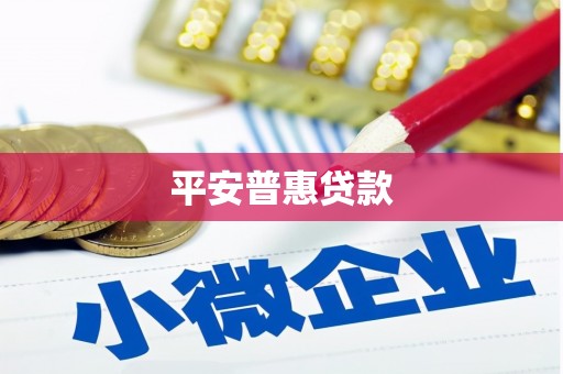 西市平安普惠贷款