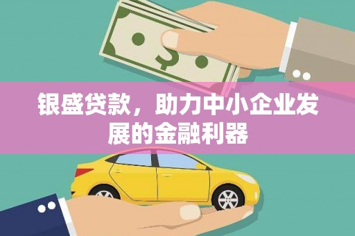 西市银盛贷款，助力中小企业发展的金融利器