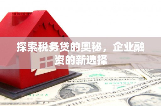西市探索税务贷的奥秘，企业融资的新选择