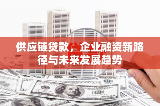 西市供应链贷款，企业融资新路径与未来发展趋势