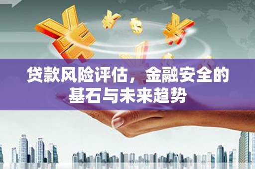 西市贷款风险评估，金融安全的基石与未来趋势