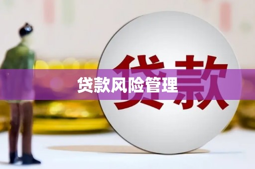 西市贷款风险管理