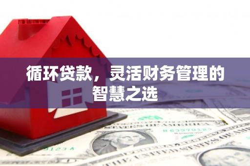 西市循环贷款，灵活财务管理的智慧之选