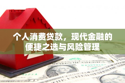 西市个人消费贷款，现代金融的便捷之选与风险管理