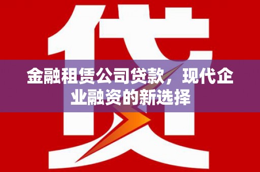 西市金融租赁公司贷款，现代企业融资的新选择