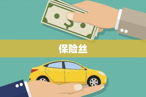 西市保险丝