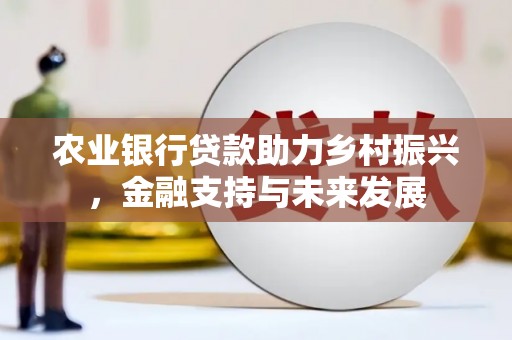 西市农业银行贷款助力乡村振兴，金融支持与未来发展