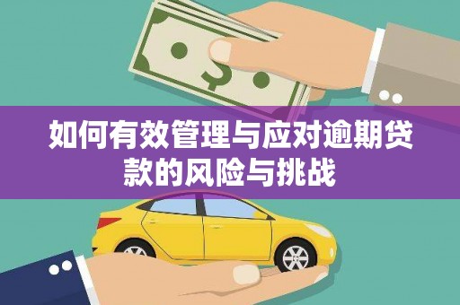 西市如何有效管理与应对逾期贷款的风险与挑战