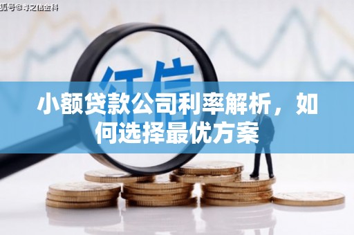 西市小额贷款公司利率解析，如何选择最优方案