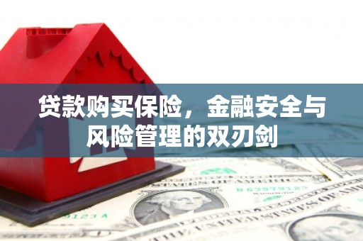西市贷款购买保险，金融安全与风险管理的双刃剑