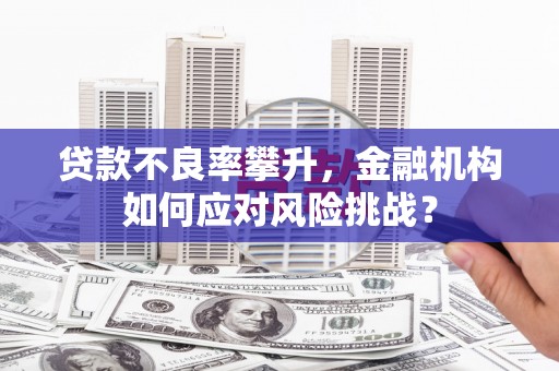 西市贷款不良率攀升，金融机构如何应对风险挑战？