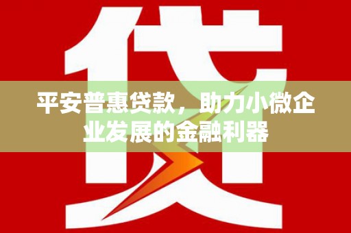 西市平安普惠贷款，助力小微企业发展的金融利器