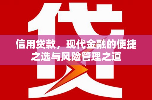 西市信用贷款，现代金融的便捷之选与风险管理之道