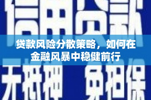 西市贷款风险分散策略，如何在金融风暴中稳健前行