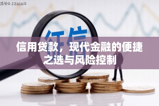 西市信用贷款，现代金融的便捷之选与风险控制