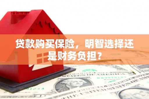 西市贷款购买保险，明智选择还是财务负担？