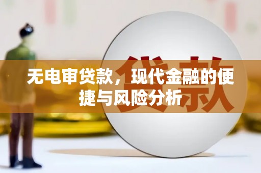 西市无电审贷款，现代金融的便捷与风险分析