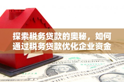 西市探索税务贷款的奥秘，如何通过税务贷款优化企业资金流