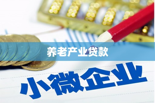 西市养老产业贷款