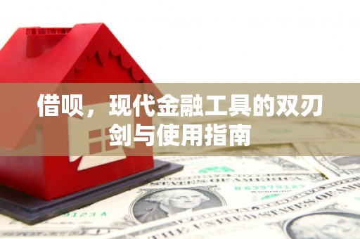 西市借呗，现代金融工具的双刃剑与使用指南
