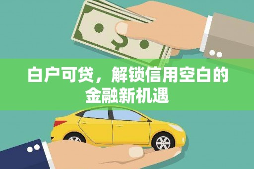 西市白户可贷，解锁信用空白的金融新机遇