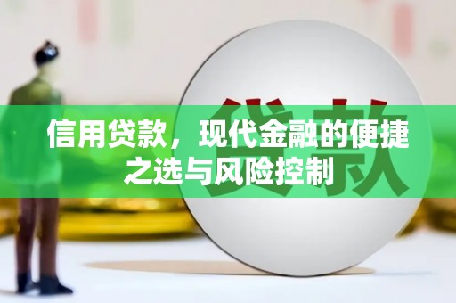 西市信用贷款，现代金融的便捷之选与风险控制