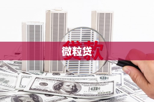 西市微粒贷