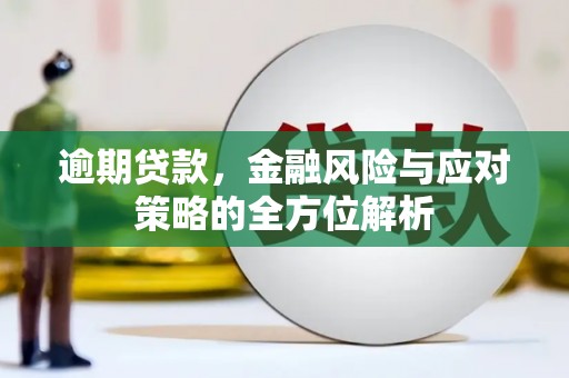 西市逾期贷款，金融风险与应对策略的全方位解析