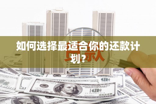 西市如何选择最适合你的还款计划？