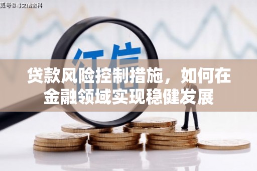 西市贷款风险控制措施，如何在金融领域实现稳健发展