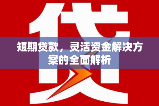 西市短期贷款，灵活资金解决方案的全面解析