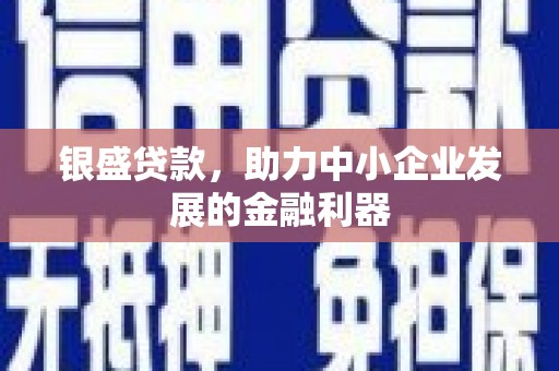 西市银盛贷款，助力中小企业发展的金融利器