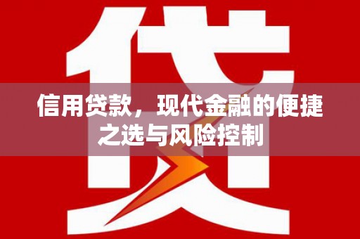 西市信用贷款，现代金融的便捷之选与风险控制