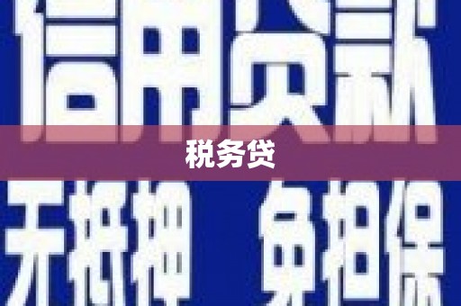 西市税务贷