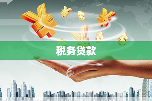 西市税务贷款