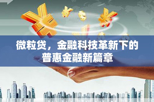 西市微粒贷，金融科技革新下的普惠金融新篇章