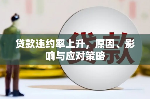 西市贷款违约率上升，原因、影响与应对策略