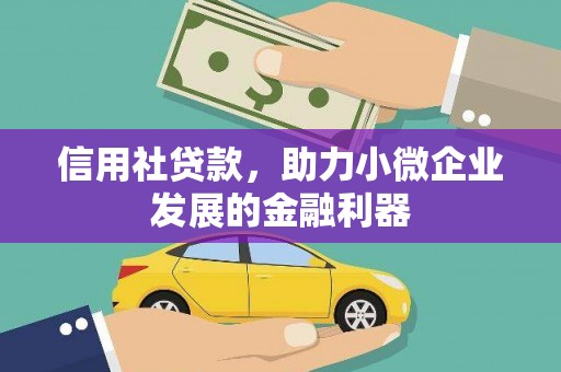 西市信用社贷款，助力小微企业发展的金融利器