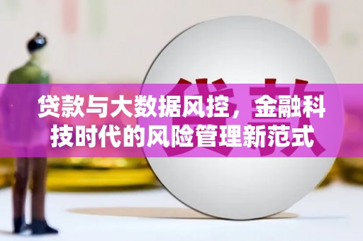 西市贷款与大数据风控，金融科技时代的风险管理新范式