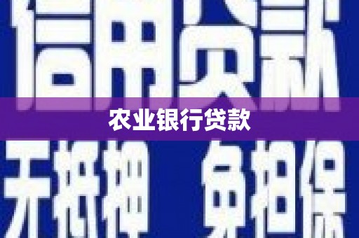 西市农业银行贷款