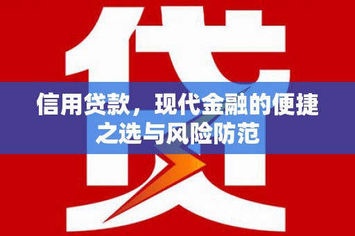 西市信用贷款，现代金融的便捷之选与风险防范