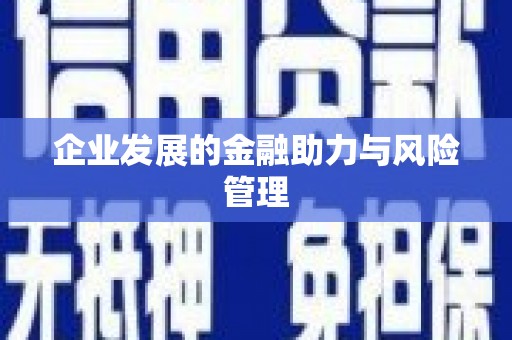 西市企业发展的金融助力与风险管理