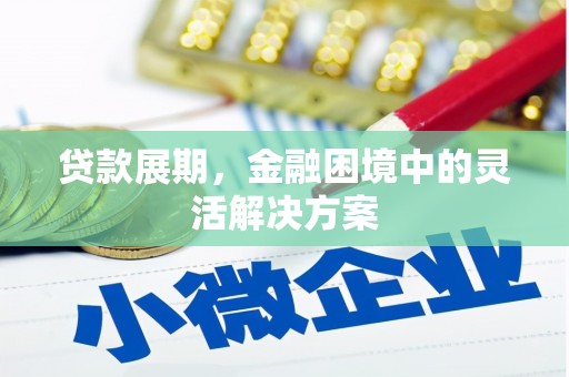 西市贷款展期，金融困境中的灵活解决方案