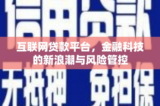 西市互联网贷款平台，金融科技的新浪潮与风险管控