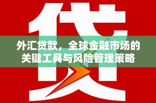 西市外汇贷款，全球金融市场的关键工具与风险管理策略