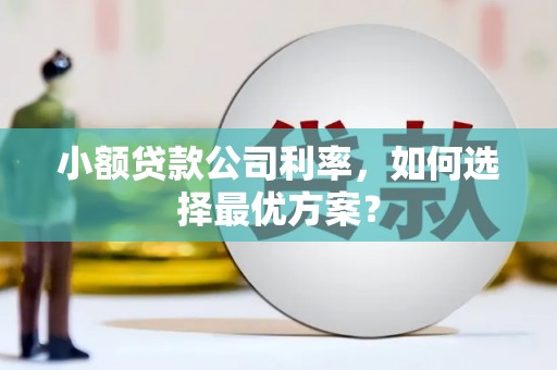 西市小额贷款公司利率，如何选择最优方案？