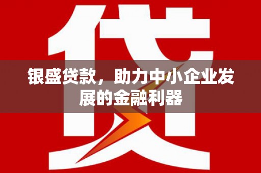 西市银盛贷款，助力中小企业发展的金融利器